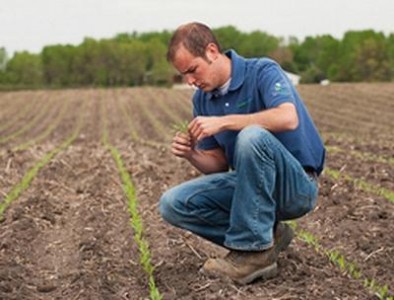 Subventii suplimentare pentru tinerii fermieri