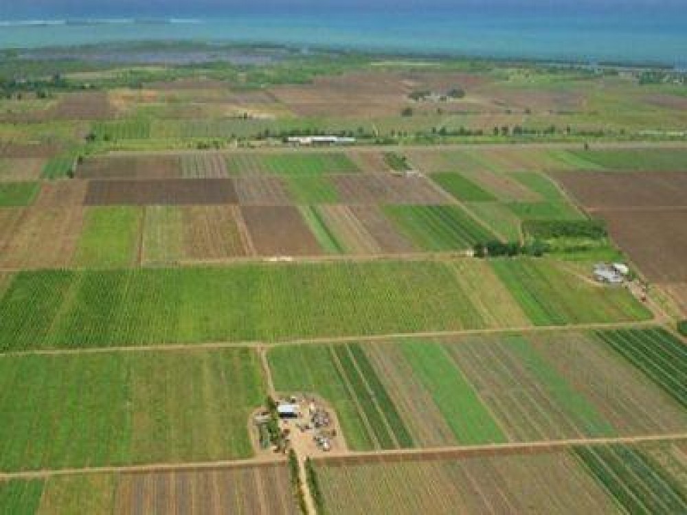 APIA: Peste 680.000 de fermieri si-au primit avansurile pentru subventii