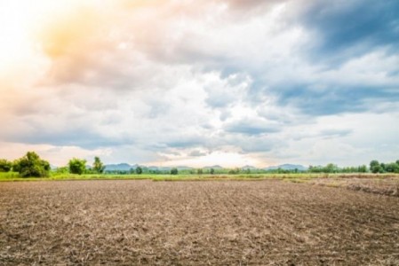 O noua lege: primariile pot cumpara terenuri agricole