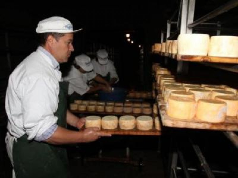 Se redeschide fabrica de branzeturi de la Taga
