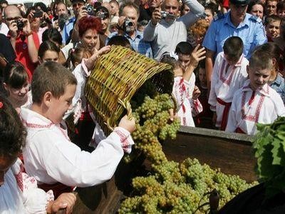 Viticultorii mizeaza pe o productie dubla de struguri, fata de anul trecut