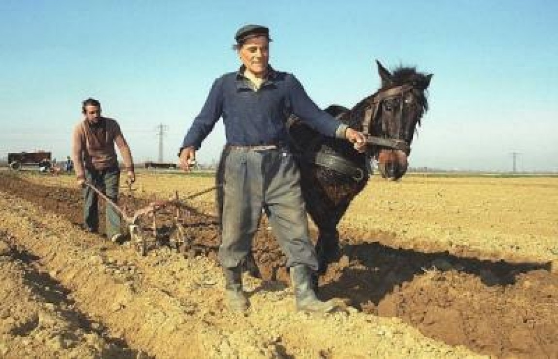 The Guardian: Taranii romani stau in calea investitorilor straini