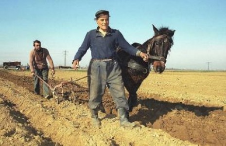 The Guardian: Taranii romani stau in calea investitorilor straini