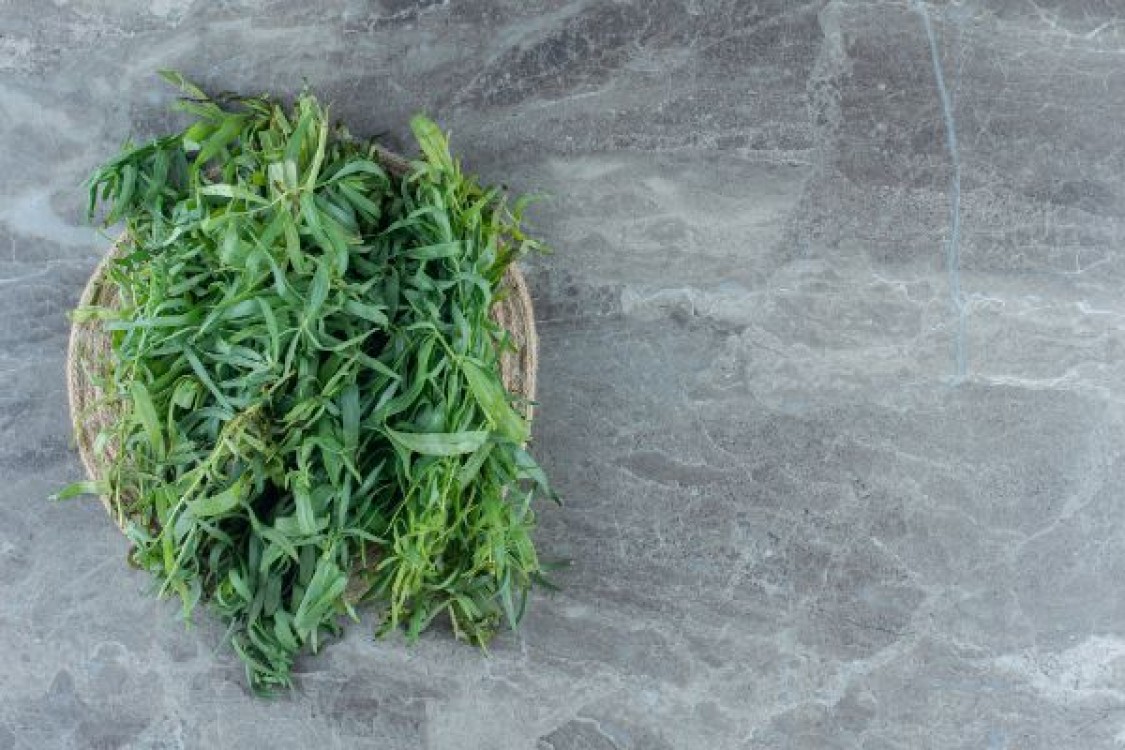 Tarhonul: un condiment care inlocuieste sarea