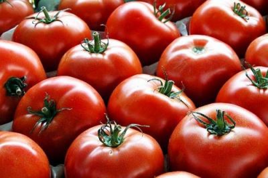 Statistici agricultura 2013: comertul cu legume fructe in perioada ianuarie - aprilie 2013