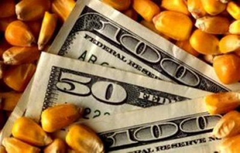 Europarlamentar: Sistemul de impozitare aduce prejudicii grave agricultorilor romani