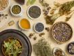 Tehnologia de cultivare a plantelor medicinale si aromatice in sistem ecologic
