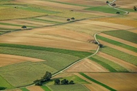 Aproximativ 5% din terenurile agricole din Romania, lucrate de straini