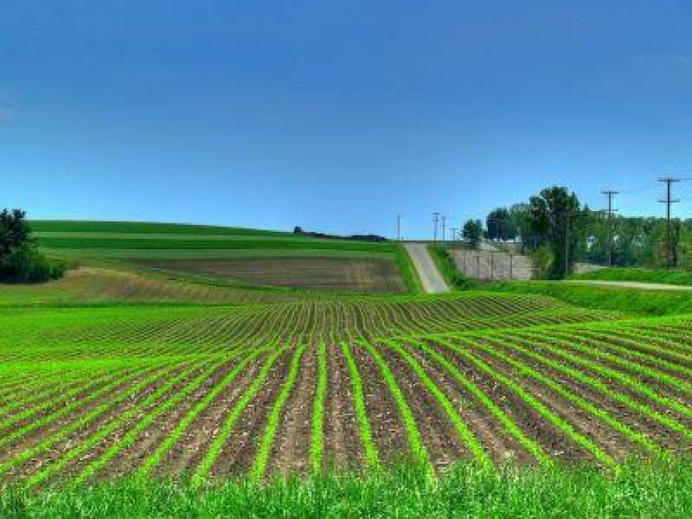 Zonarea productiei agricole a Romaniei, prioritate pentru Stelian Fuia