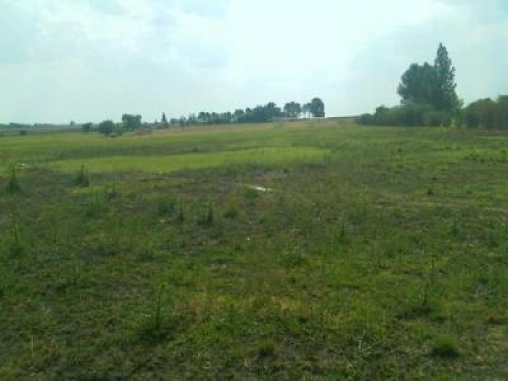 Intentia lui Fuia este ca  taxarea terenurilor nelucrate sa duca la cresterea suprafetei agricole cultivata