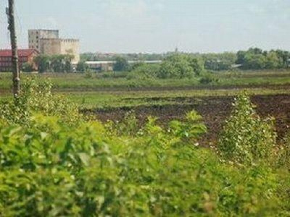 Care sunt terenurile pentru care fermierii nu pot obtine subventii