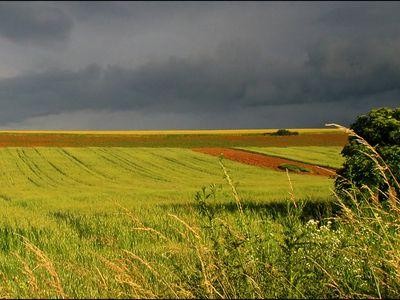 Numarul tranzactiilor cu terenuri agricole, in crestere galopanta