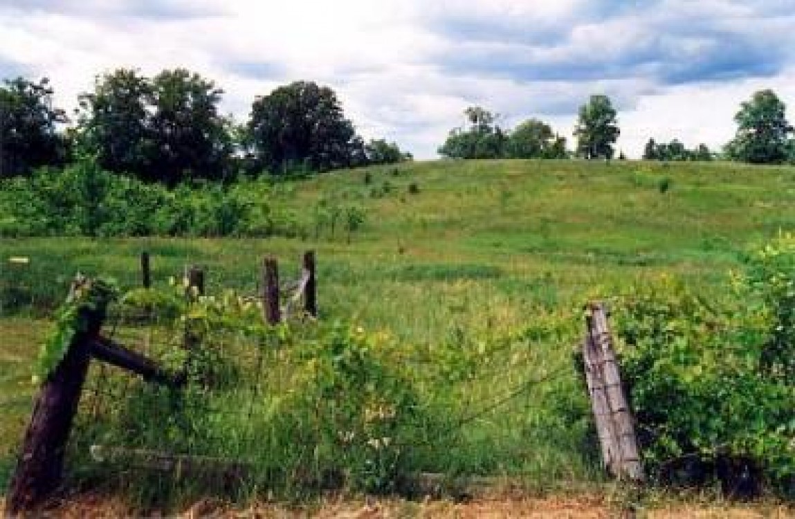 Fondul funciar agricol al Romaniei si situatia cadastrului