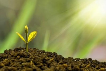 Terenuri agricole pentru tineri de la stat