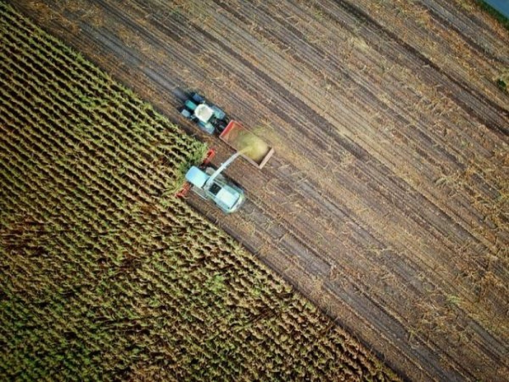 Peturile scazute ale terenurilor agricole din Romania, atractie pentru investitori