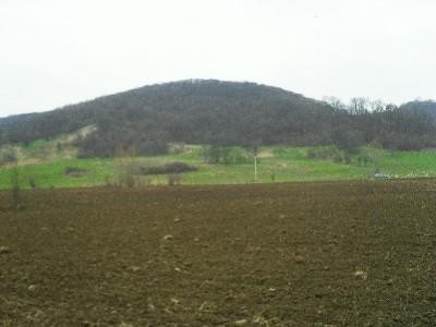 Dolj: A crescut numarul tranzactilor cu terenuri agricole