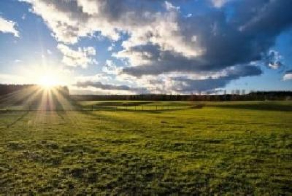 Masuri de siguranta pentru pastrarea destinatiei terenurilor agricole dupa liberalizarea pietei funciare