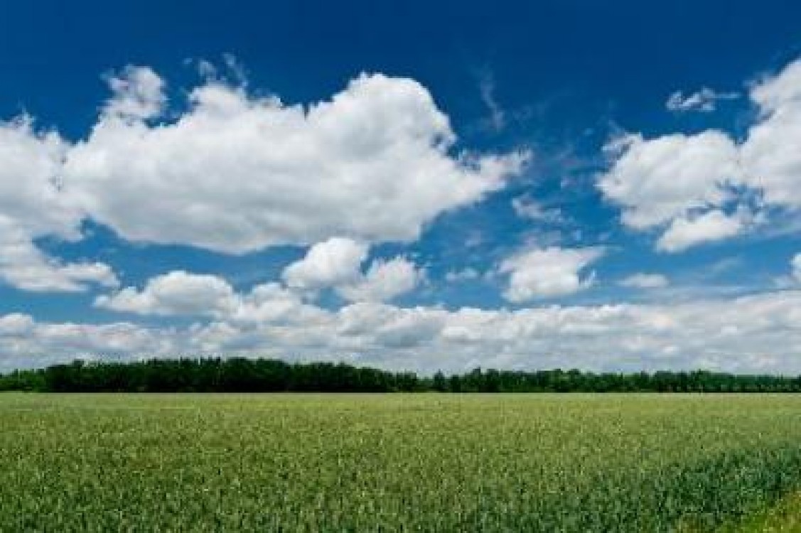 Investitorii straini sunt atrasi de terenurile agricole din Romania