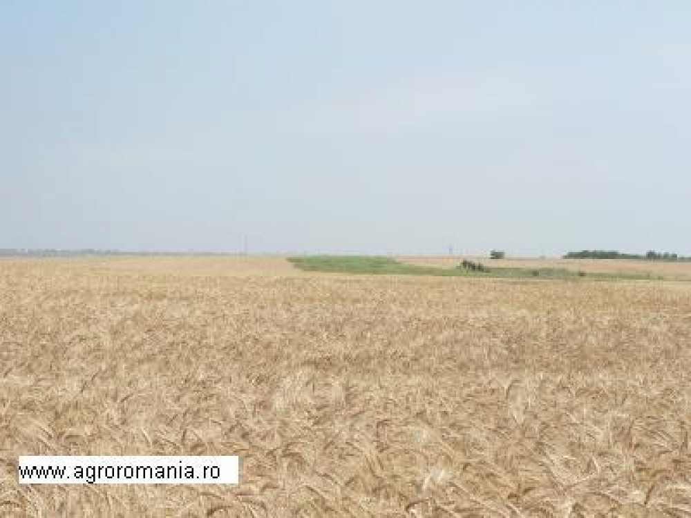 Terenuri agricole 2014: Traian Basescu a atras atentia asupra discrepantei dintre puterea de cumparare a fermierilor romani si straini