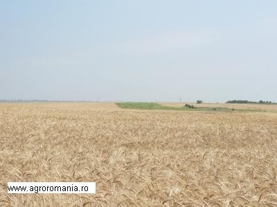 Terenuri agricole 2014: Traian Basescu a atras atentia asupra discrepantei dintre puterea de cumparare a fermierilor romani si straini
