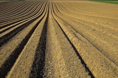 Jumatate din terenurile agricole ale tarii, detinute de fermieri dezinteresati