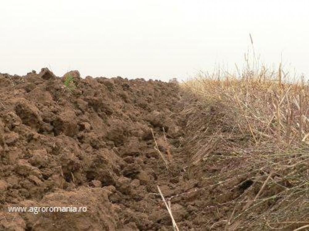Galati: Doar o treime din suprafata agricola a fost fertilizata anul trecut