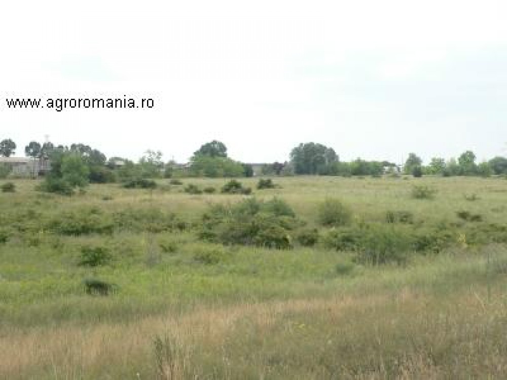 Terenuri agricole Romania: parloagele insumeaza, anul acesta, 300.000 de hectare