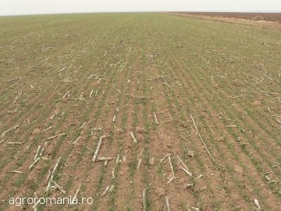 Cine va avea drept de preemtiune la cumpararea terenurilor agricole: arendasul, vecinul, tanarul fermier si statul roman