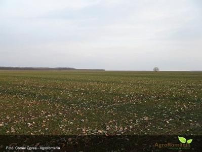 Ministrul roman al agriculturii, prezent la receptia traditionala din deschiderea Saptamanii Verzi, la Berlin. Vezi cele mai importante declaratii ale acestuia