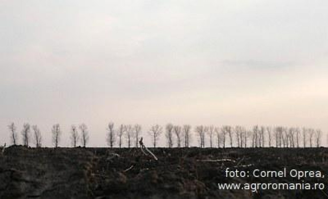 Vanzarea terenurilor agricole romanesti catre nerezidenti, aproape o certitudine