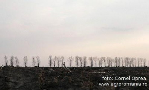 Vanzarea terenurilor agricole romanesti catre nerezidenti, aproape o certitudine
