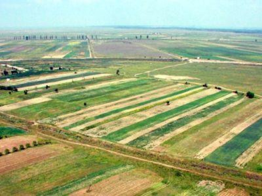 Garantii de aproape 34 de milioane de euro, solicitate de fermieri pentru achizitia de terenuri agricole