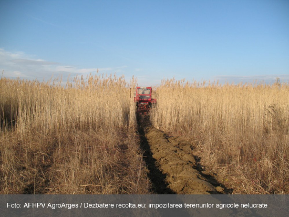 Impozitul pe terenurile agricole nelucrate