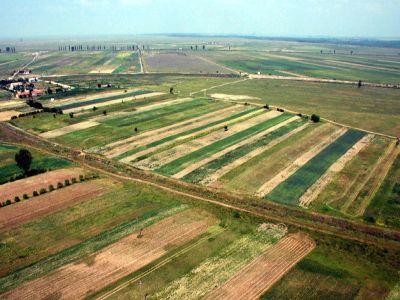 Reguli noi pentru vanzarea terenurilor: rudele vor avea intaietate la vanzare!