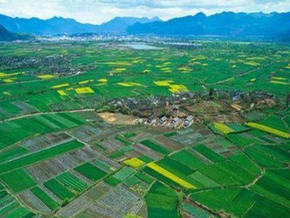 Terenurile agricole vor avea prioritate la cadastrare