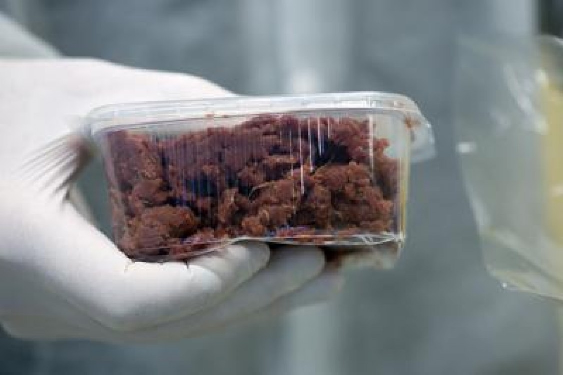 Rezultatele campaniei ANSVSA de testare in industria carnii