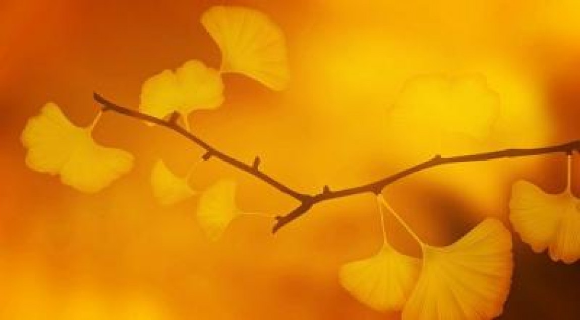 Prognoza agrometeorologica pentru perioada 29 septembrie - 5 octombrie 2021