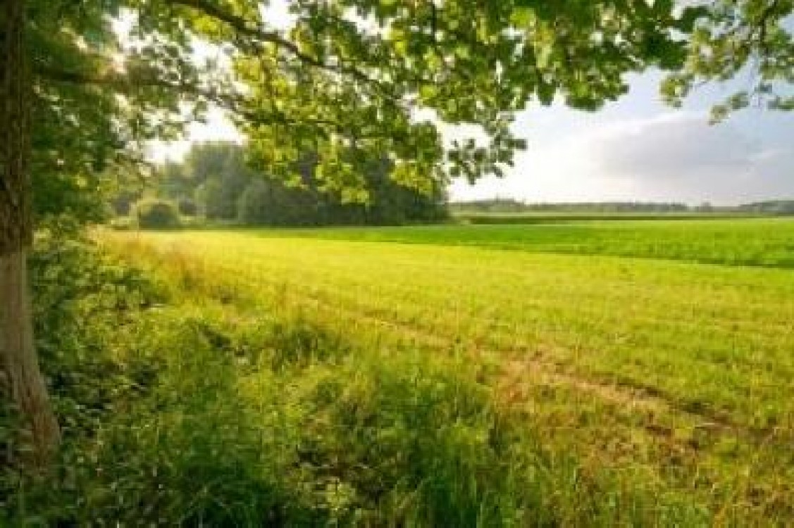Se discuta posibilitatea ca tinerii fermieri sa primeasca 50 de hectare de teren agricol gratis de la stat