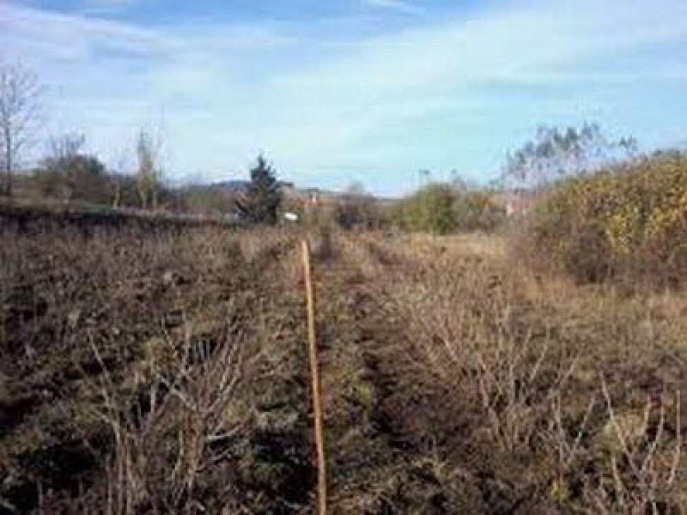 Buletin agrometeorologic pentru perioada 29septembrie-5 octombrie