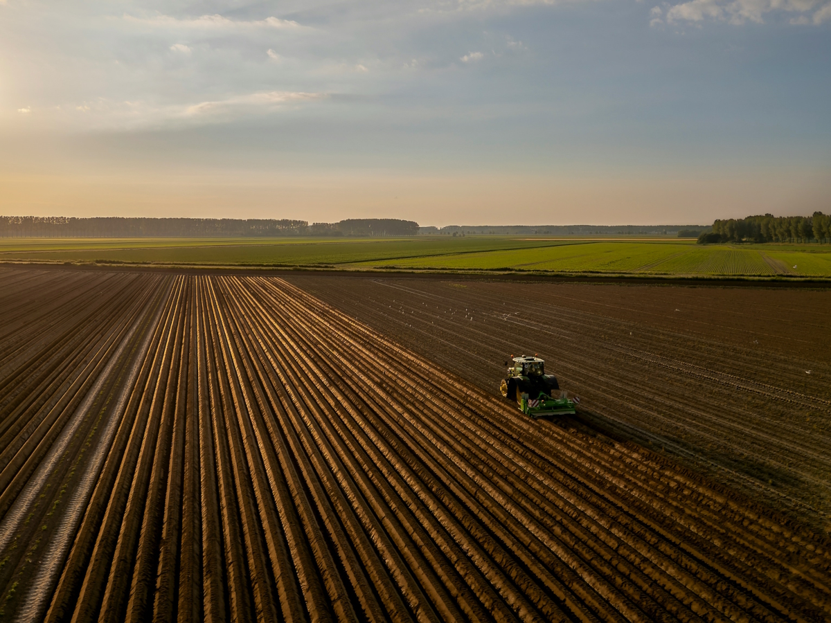 Criza de personal din agricultura: Cum pot fermierii si companiile din agrobusiness sa gaseasca muncitori calificati prin Jooble