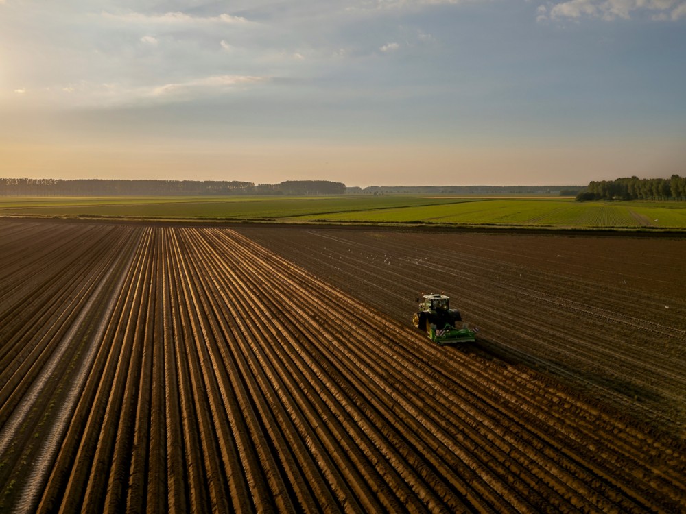 Criza de personal din agricultura: Cum pot fermierii si companiile din agrobusiness sa gaseasca muncitori calificati prin Jooble