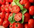 Tehnologia productiei de camp la tomate