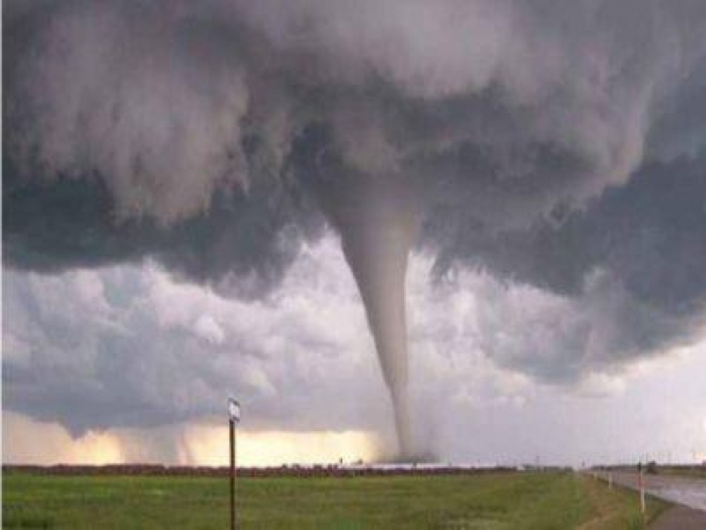 Statiunea de Cercetare-Dezvoltare pentru Cresterea Bovinelor din Arad, devastata de o tornada