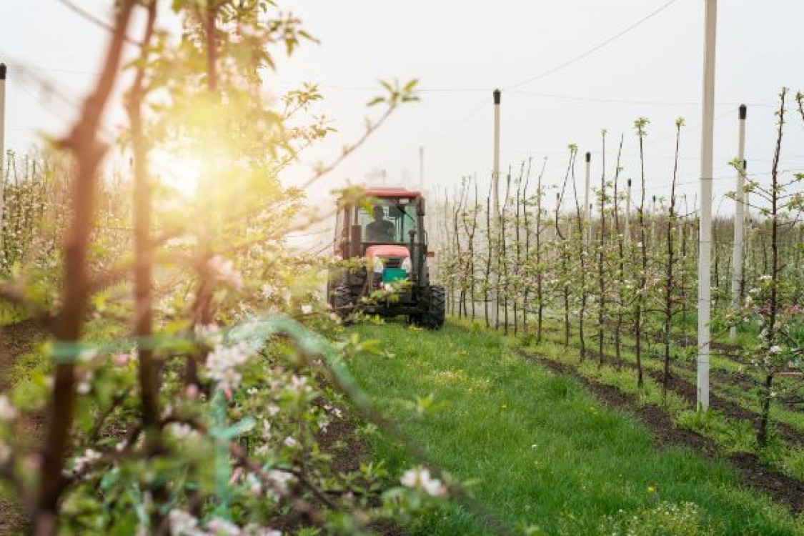 Conditii pentru circulatia pe drumurile publice. Care este situatia tractoristilor