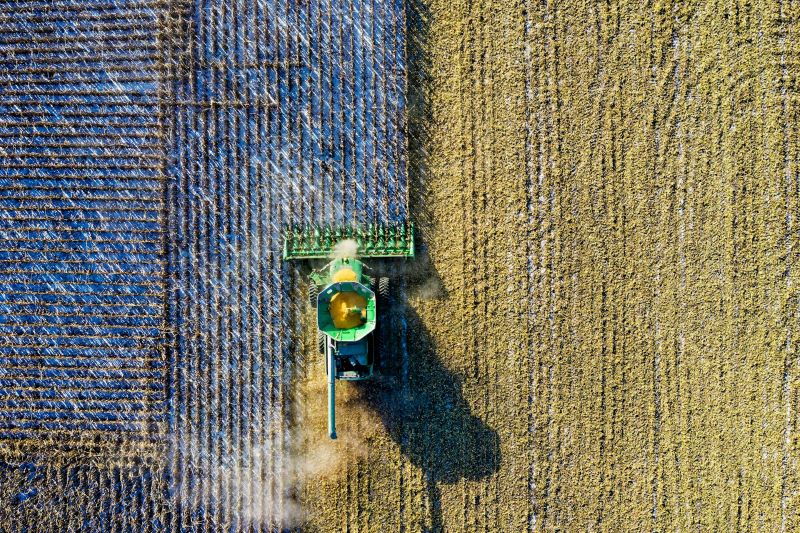 Ferma moderna: Idei de diversificare a veniturilor pentru un business agricol sustenabil