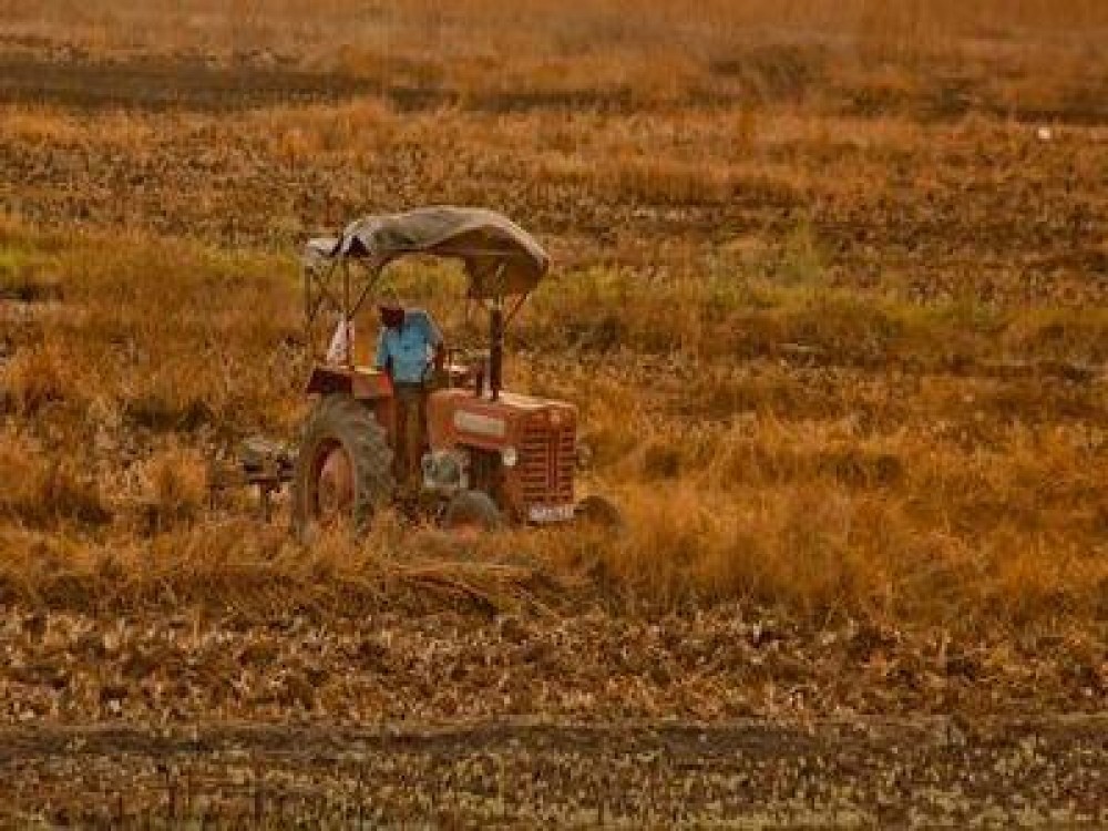 Buletin agrometeorologic pentru perioada 2-6 octombrie