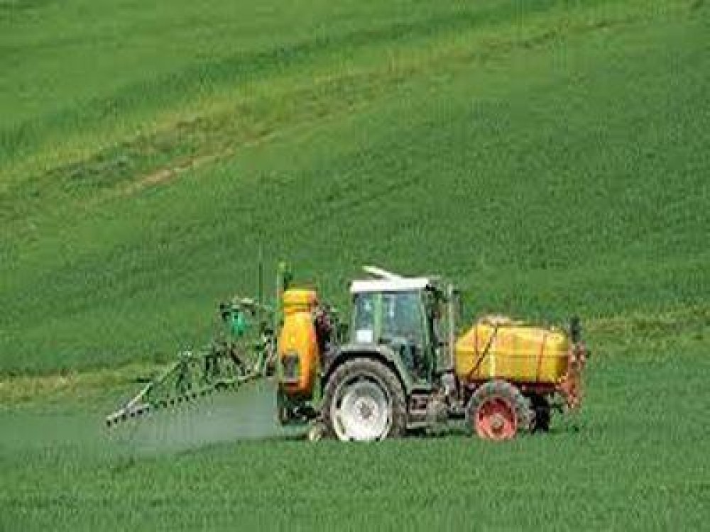 LAPAR cere o noua derogare pentru utilizarea tratamentului cu neonicotinoide la porumb si floarea soarelui