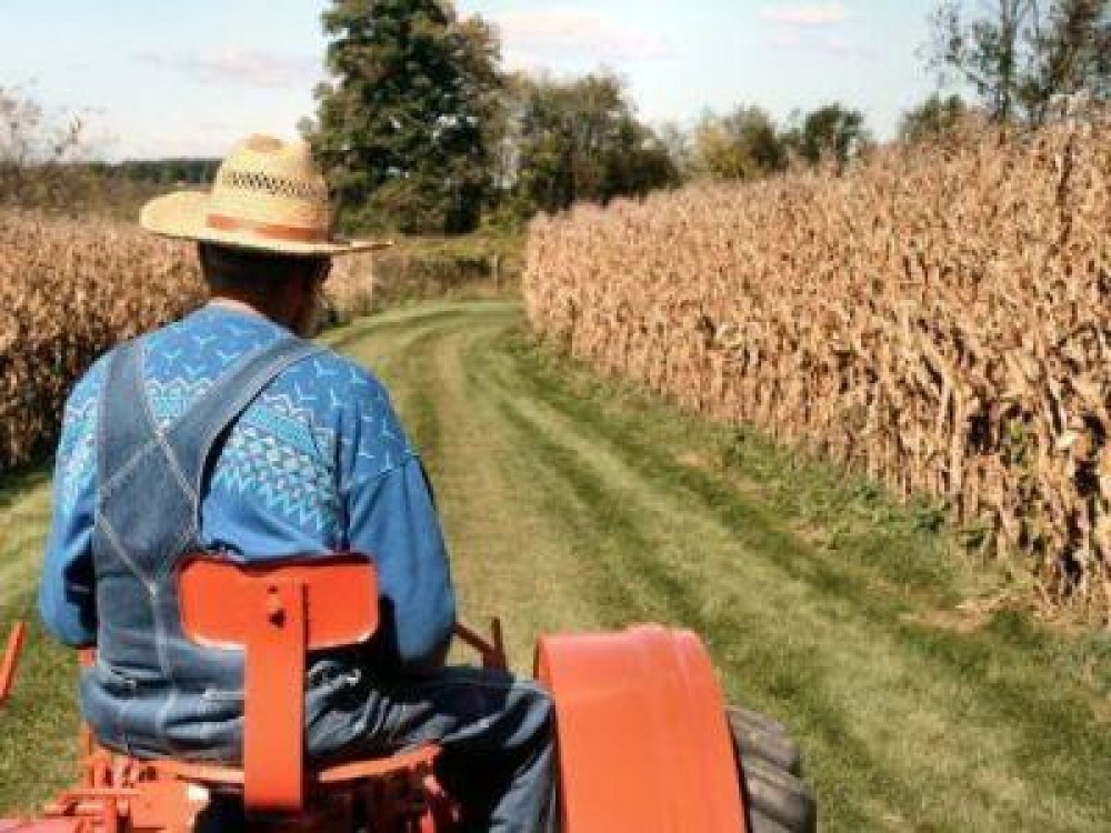 Viitorul fermelor familiale, dezbatut la MADR