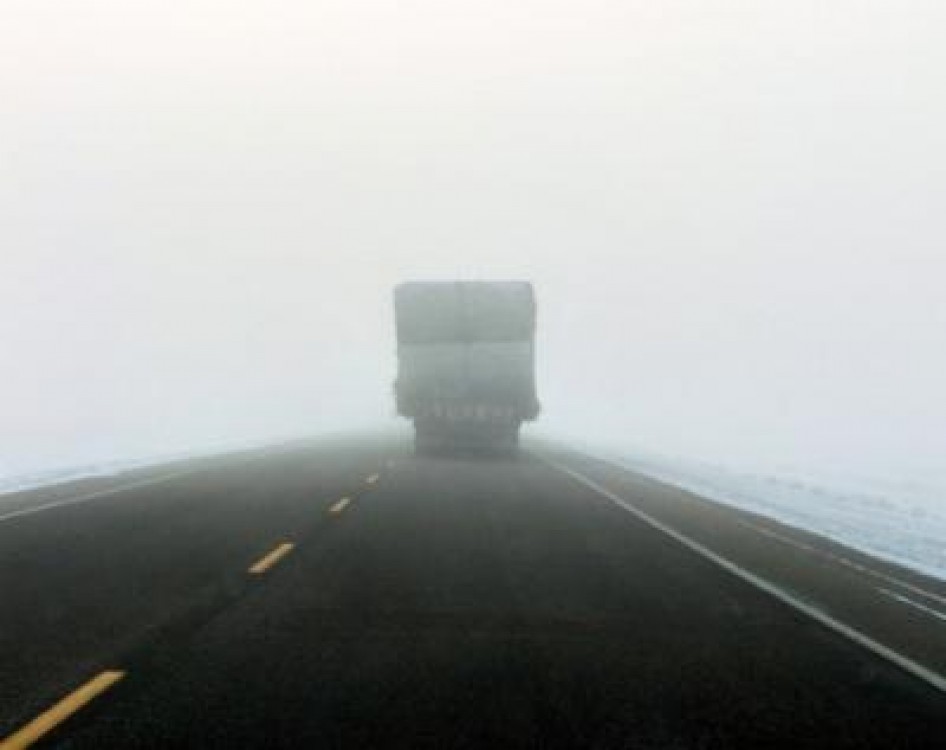 Ministerul Agriculturii a luat initiativa colectarii de furaje pentru animalele din fermele afectate de caderile de zapada