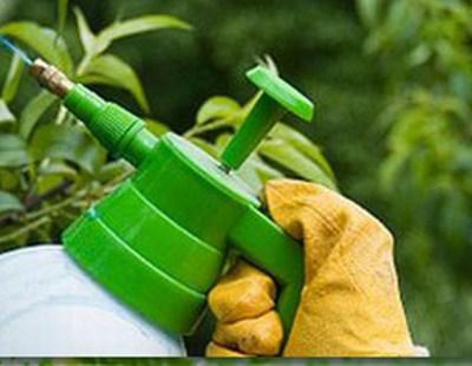 Metode ecologice de combatere a daunatorilor si ciupercilor